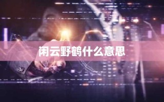 闲云野鹤什么意思
